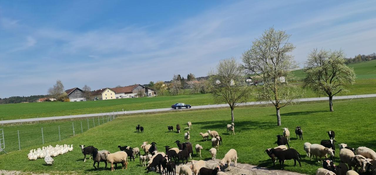 Landgasthof Entenwirt Tarsdorf Екстериор снимка