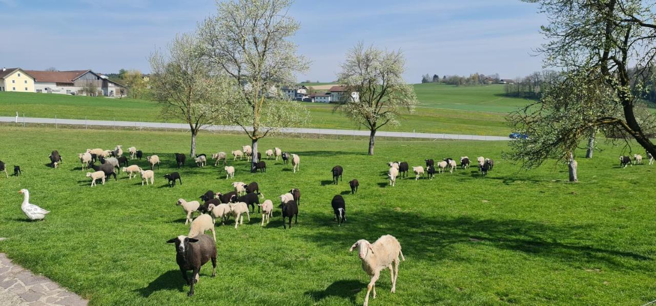 Landgasthof Entenwirt Tarsdorf Екстериор снимка