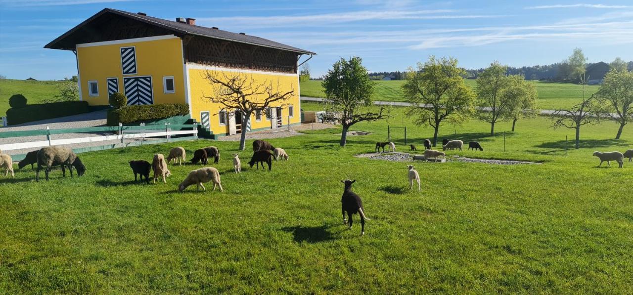 Landgasthof Entenwirt Tarsdorf Екстериор снимка