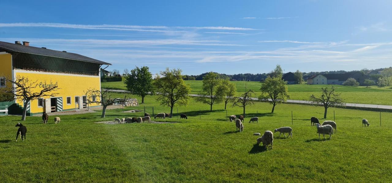 Landgasthof Entenwirt Tarsdorf Екстериор снимка